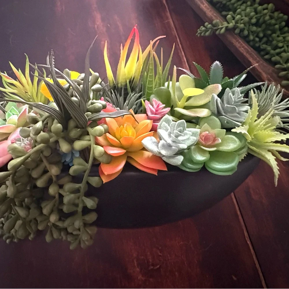 Succulent Arrangement in Black ceramic Bowl for wall